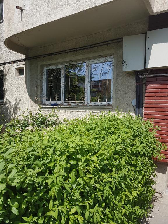 Apartamente Marian Brašov Pokoj fotografie
